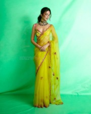 Beautiful Kriti Kharbanda in a Sexy Transparent Saree Photos 05