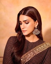 Beautiful Kriti Sanon in a Chocolate Brown Saree Photos 04