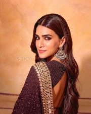 Beautiful Kriti Sanon in a Chocolate Brown Saree Photos 05