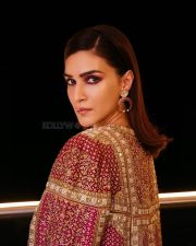 Beautiful Kriti Sanon in a Traditional Dress Pictures 01 Beautiful Kriti Sanon in a Traditional Dress Pictures 01