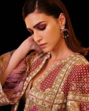 Beautiful Kriti Sanon in a Traditional Dress Pictures 02 Beautiful Kriti Sanon in a Traditional Dress Pictures 02