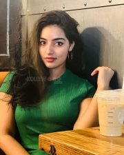 Beautiful MaIavika Menon in a Green Top Photos 02