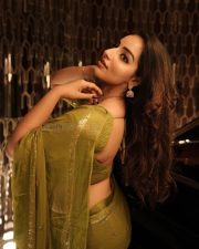 Beautiful Malavika Menon in a Soft Green Saree Photos 02