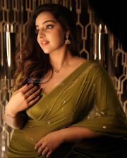 Beautiful Malavika Menon in a Soft Green Saree Photos 03