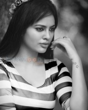 Nandita Swetha 41 Beautiful Nandita Photoshoot Photos