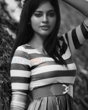 Nandita Swetha 34 Beautiful Nandita Photoshoot Photos