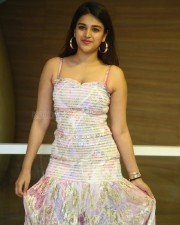 Beautiful Nidhhi Agerwal at Hero Movie Thank You Meet Photos 12