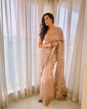 Beautiful Nora Fatehi in a Nude Saree Pictures 01