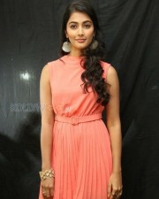 Beautiful Pooja Hegde Pictures