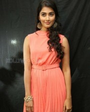 Beautiful Pooja Hegde Pictures