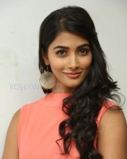 Beautiful Pooja Hegde Pictures