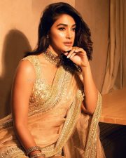 Beautiful Pooja Hegde in a Shimmery Golden Saree Pictures 05 Beautiful Pooja Hegde in a Shimmery Golden Saree Pictures 05