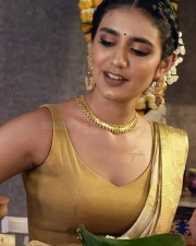 Beautiful Priya Prakash Varrier Saree Pictures