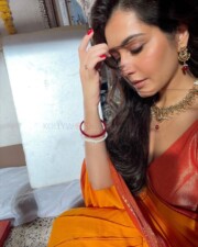 Beautiful Raashi Khanna in an Orange Silk Saree Pictures 03