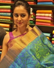 Beautiful Rakul Preet Singh In Saree Photos