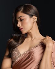 Beautiful Rashmika Mandanna in a Nude Peach Saree with an Embroidered Blouse Pictures 07