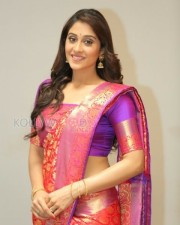Beautiful Regina In Saree Photos