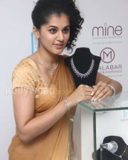 Taapsee Pannu 30 Beautiful Taapsee Pannu Photos