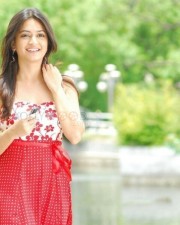 Beautiful Tollywood Actress Kriti Kharbanda Photos