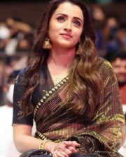 Beautiful Trisha Krishnan in a Brown Saree Photo 01