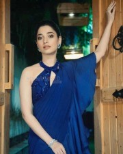 Beautiful and Sexy South Indian Actress Tamanna Bhatia Photos 06