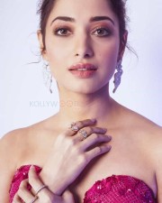 Beautiful and Sexy South Indian Actress Tamanna Bhatia Photos 13