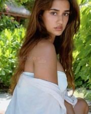 Bewitching Disha Patani Picture 01