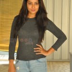 Bhanu Shree Reddy 15 Bhanu At Iddari Madhya Movie Press Meet Photos