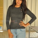 Bhanu Shree Reddy 11 Bhanu At Iddari Madhya Movie Press Meet Photos
