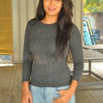 Bhanu Shree Reddy 10 Bhanu At Iddari Madhya Movie Press Meet Photos