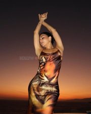 Bold Jacqueline Fernandez in a Animal Printed Spaghetti Strap Dress Pictures 02