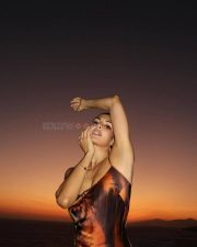 Bold Jacqueline Fernandez in a Animal Printed Spaghetti Strap Dress Pictures 03