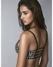 Bollywood Actress Disha Patani Hot Photos