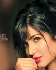 Bollywood Actress Katrina Kaif Photos