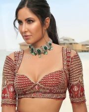 Bollywood Babe Katrina Kaif Sexy Cleavage Photos