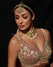 Bollywood Hot MILF Malaika Arora Sexy Photos 05