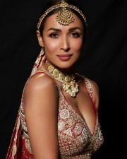 Bollywood Hot MILF Malaika Arora Sexy Photos 06