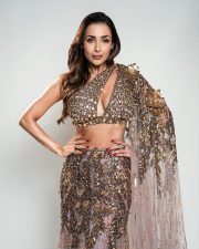 Bollywood Hottie Malaika Arora in a Designer Gold and Mauve Embellished Lehenga Photos 03