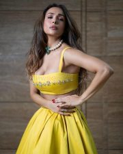 Bollywood MILF Malaika Arora in a Yellow Embellished Straight Neck Crop Top with a Flowing Skirt Pictures 04 Bollywood MILF Malaika Arora in a Yellow Embellished Straight Neck Crop Top with a Flowing Skirt Pictures 04