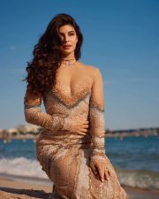 Cannes 2026 Actress Jacqueline Fernandez in a Gold Beaded Sheer Gown Photos 04