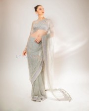 Captivating Actress Rakul Preet Singh in a Sensuous Saree Pictures 03
