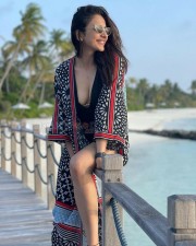 Captivating Rakul Preet Singh Bikini Pictures 03