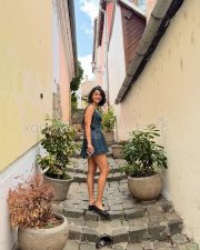 Carefree Actress Pooja Hegde in a Denim Corset Mini Dress Photos 04