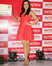 Catherine Tresa Unveils Intex Air Conditioners Photos