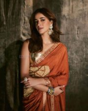 Chand Mera Dil Actress Ananya Panday in a Rust Colored Foil Printed Saree with a Golden Gota Bralette Sleeveless Blouse Photos 02