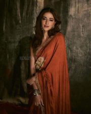 Chand Mera Dil Actress Ananya Panday in a Rust Colored Foil Printed Saree with a Golden Gota Bralette Sleeveless Blouse Photos 03