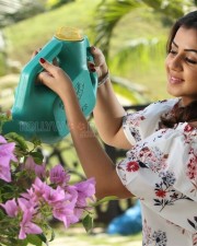 Nikki Galrani 21 Charlie Chaplin Movie Heroine Nikki Galrani Pictures