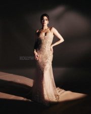 Charming Janhvi Kapoor in a Gorgeous Tulle Gown Photos 02 Charming Janhvi Kapoor in a Gorgeous Tulle Gown Photos 02
