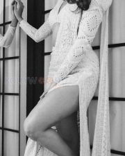 Charming Pooja Hegde in a White Thigh Slit Saree Monochrome Pictures03 Charming Pooja Hegde in a White Thigh Slit Saree Monochrome Pictures03