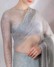 Charming Rakul Preet Singh in a Sheer Saree Pictures 01 Charming Rakul Preet Singh in a Sheer Saree Pictures 01